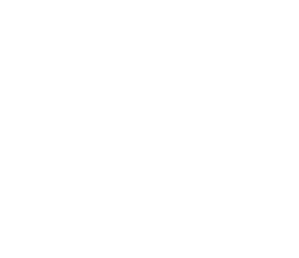 FOUR SEASONS